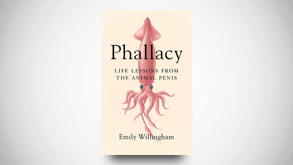 Phallacy Lessons in Animal Genitalia