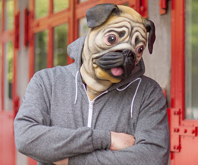 Pug Mask Canine Isolation Disguise