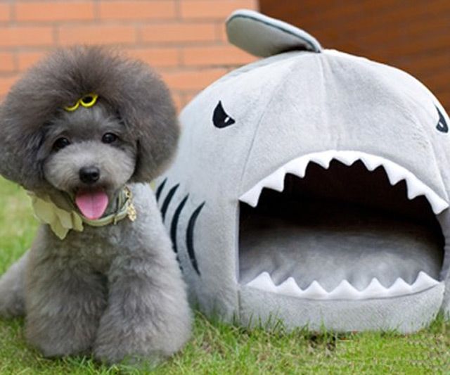 Shark Dog Bed Stylish Sleeping Haven