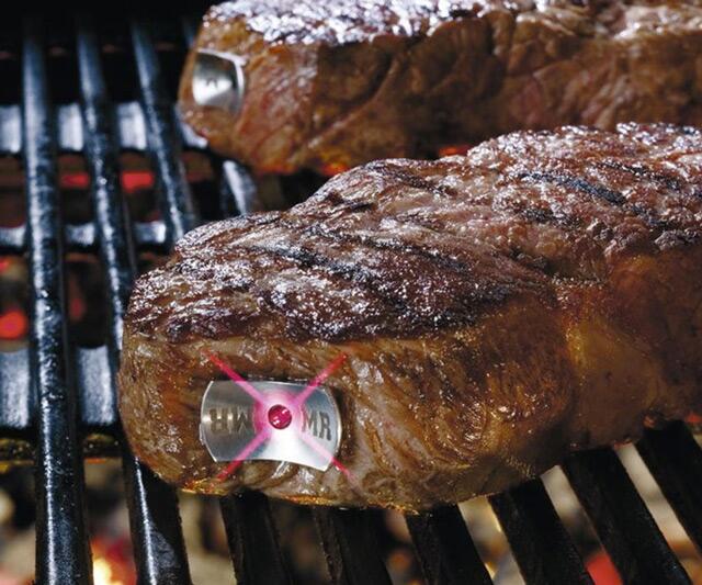 SteakChamp Steak Perfection Gauges