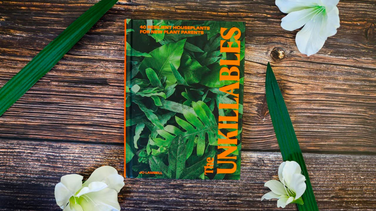 The Unkillables Resilient Houseplants Guide